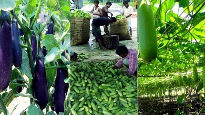 Strategic Land Acquisition in Prime Dhaka Location